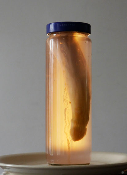 eingelegter Spargel/Asparagus Preserve