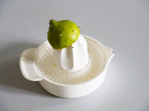 Zitronenpresse/Lemon Squeezer