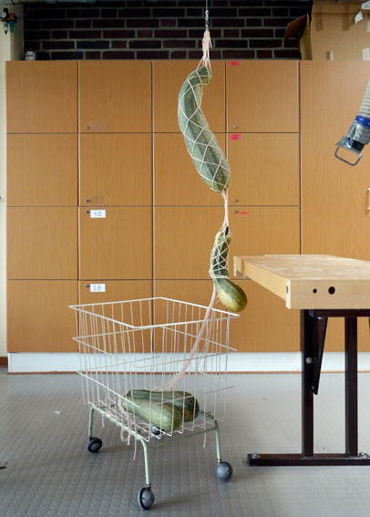 Zucchiniaufhängung/Zucchini Suspension