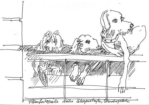 Hunde an der Bundesallee, Zeichnung, 2020