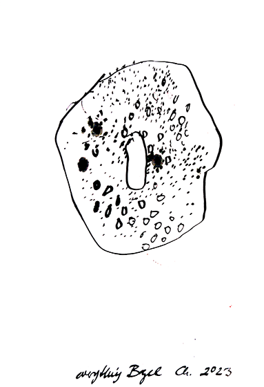 Bagel 2