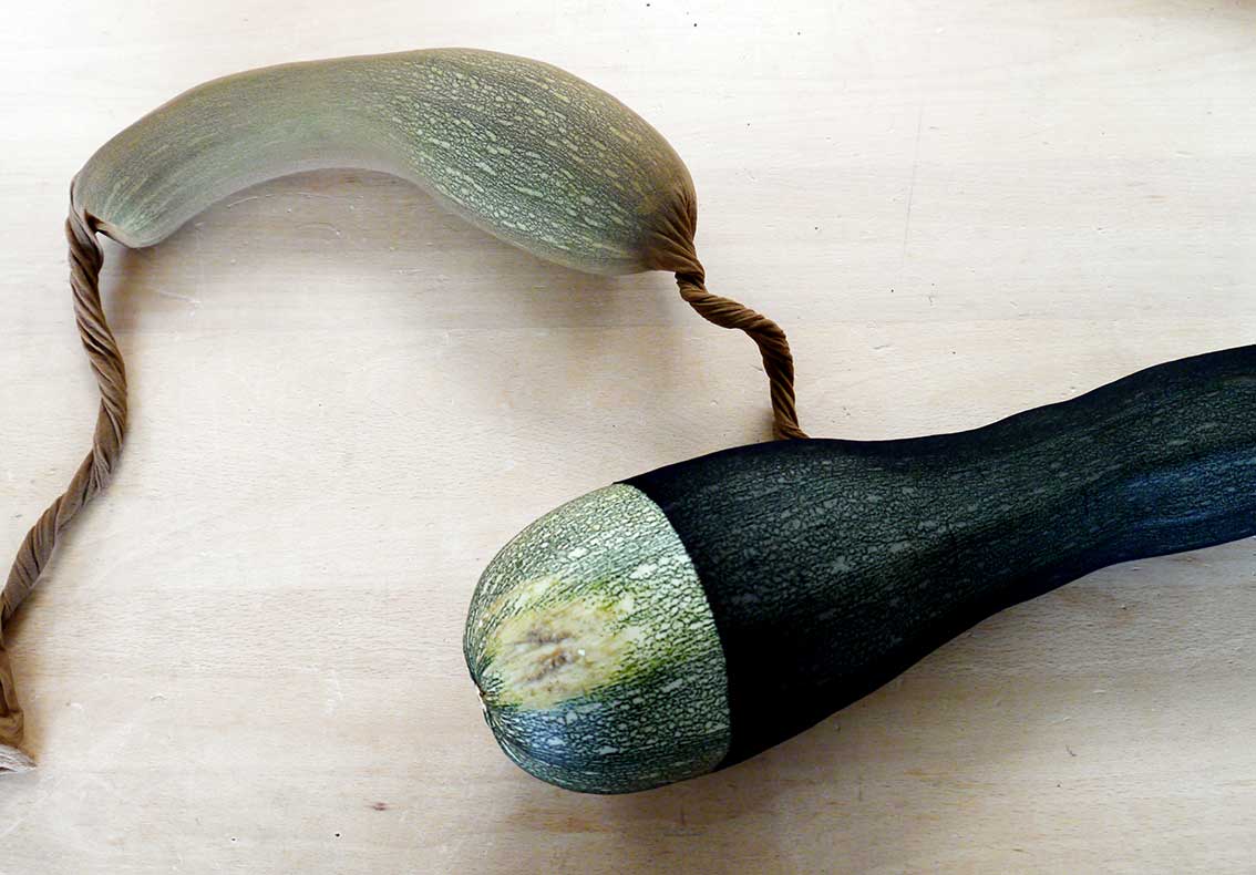 Zucchinifamilie 2016, C-Print, Größe variabel