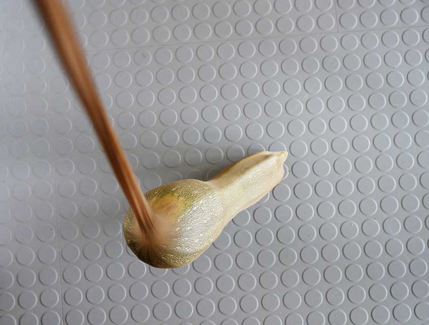 Zucchini Noppenboden, C-Print, Größe variabel, 2016