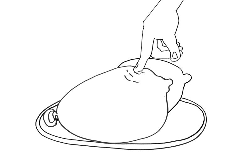 making of puddingbrueste skizze